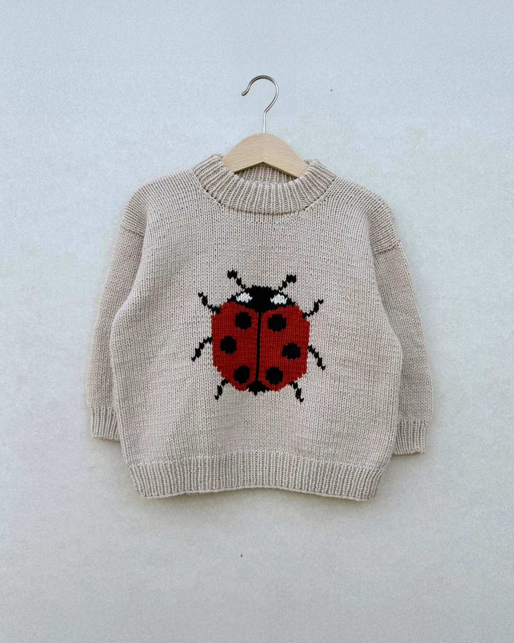 Ladybug Sweater - Image 4