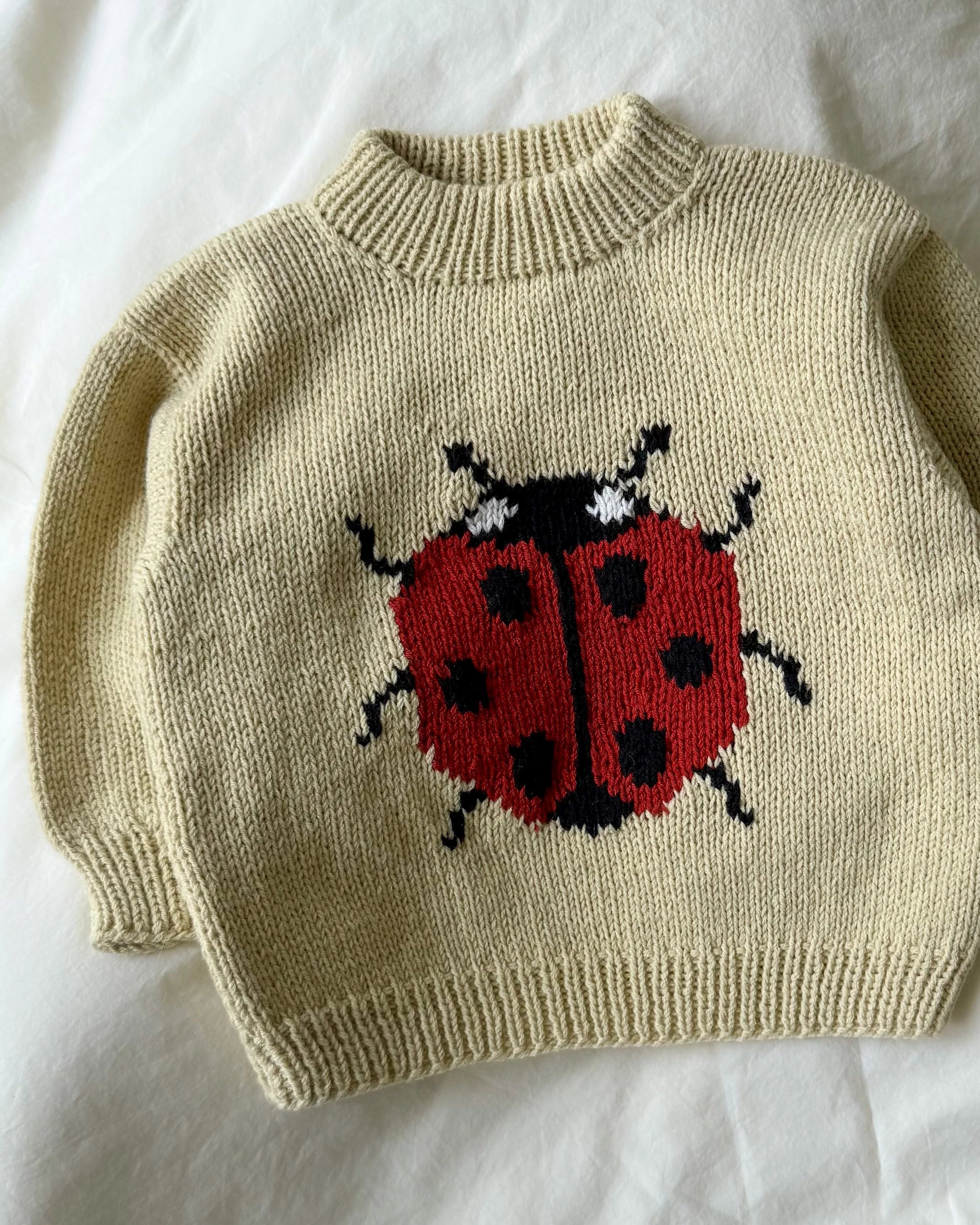 Ladybug Sweater - Image 7
